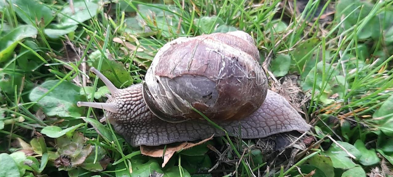 Noclegi Teodorowka Dukla Exterior foto